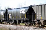 CSX 299307